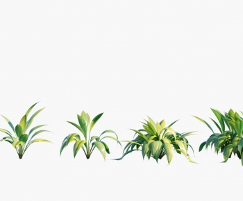 Modern Plant-ID:474925049