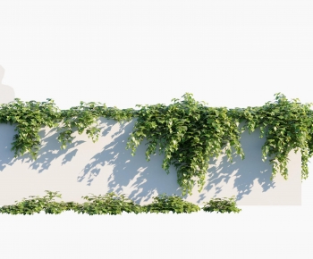 Modern Vine-ID:638839967