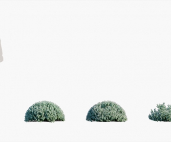 Modern Shrubbery-ID:287127972