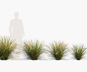 Modern The Grass-ID:348379621