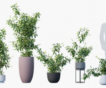 Modern Ground Green Plant Potted Plants-ID:914910083