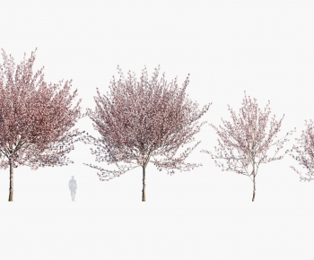 Modern Tree-ID:582588913