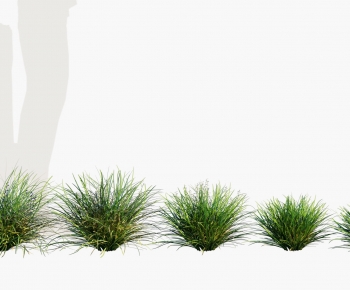 Modern Shrubbery-ID:413279553