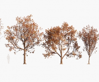 Modern Tree-ID:633891115