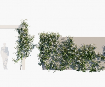 Modern Vine-ID:885286094