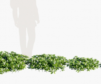 Modern The Grass-ID:451980116