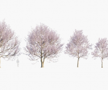 Modern Tree-ID:876924997