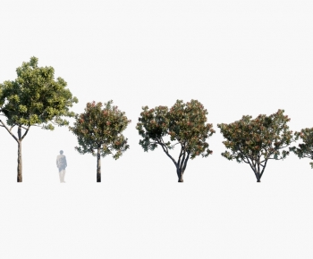 Modern Tree-ID:288754941