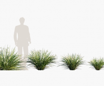 Modern The Grass-ID:904473074