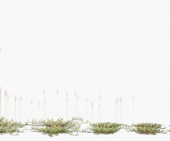 Modern The Grass-ID:108015061