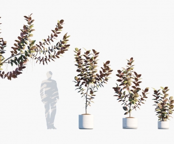 Modern Ground Green Plant Potted Plants-ID:955970357