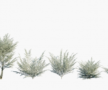 Modern Tree-ID:651351939