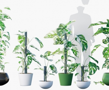 Modern Ground Green Plant Potted Plants-ID:782505991