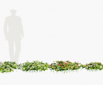 Modern Flowers And Grass-ID:975497018