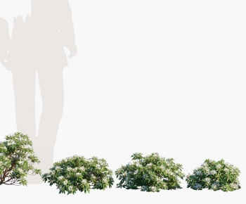 Modern Shrubbery-ID:786302098