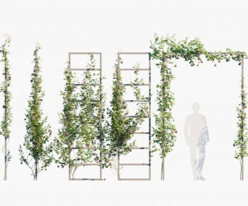 Modern Vine-ID:574570898