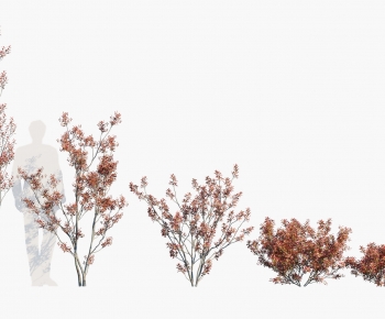 Modern Tree-ID:748363977