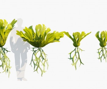 Modern Aquatic Green Plant-ID:958899973