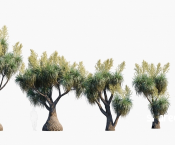 Modern Tree-ID:569040063