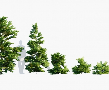 Modern Tree-ID:574520117