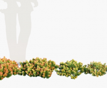 Modern Flowers And Grass-ID:579441073