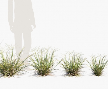 Modern The Grass-ID:747504009