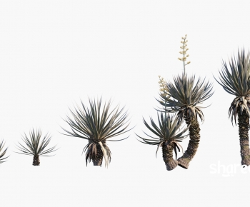 Modern Plant-ID:409149897