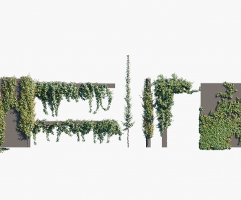 Modern Plant Wall-ID:726036074
