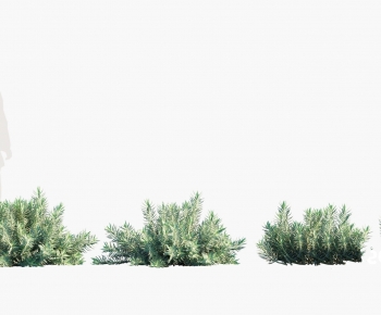 Modern Plant-ID:229444035