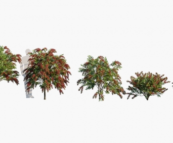 Modern Tree-ID:117378002