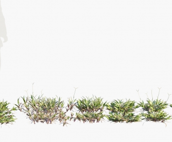 Modern The Grass-ID:232709887