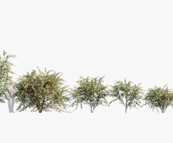 现代植物树木组合-ID:939798123