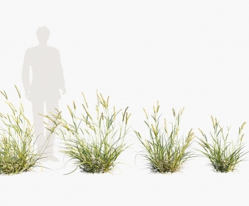 Modern The Grass-ID:362705957