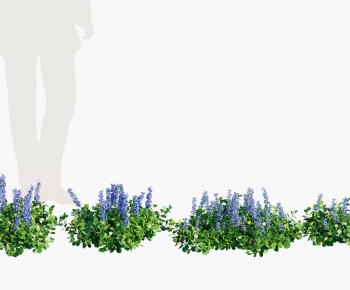 Modern Flowers And Grass-ID:259179123