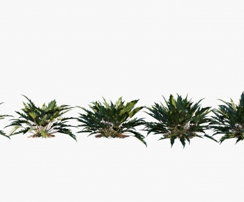 Modern Shrubbery-ID:410362015