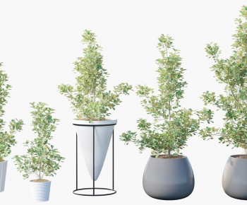 Modern Ground Green Plant Potted Plants-ID:522631887