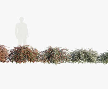 Modern Shrubbery-ID:144789936