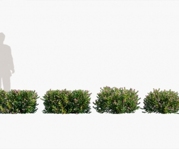 Modern Shrubbery-ID:117894899