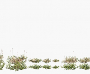 Modern The Grass-ID:487649929