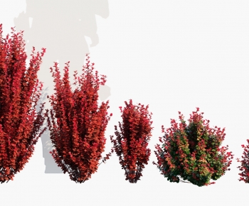 现代红色灌木绿植组合-ID:676599038