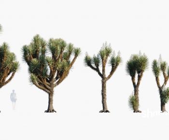 Modern Tree-ID:945520486