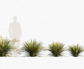 Modern Flowers And Grass-ID:303987037