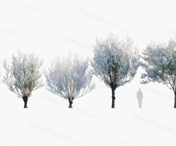 Modern Tree-ID:604367971