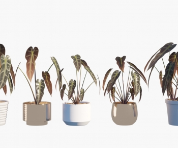 Modern Ground Green Plant Potted Plants-ID:882388113