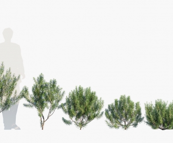 Modern Tree-ID:144944914