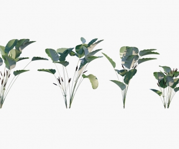 Modern Plant-ID:528465039