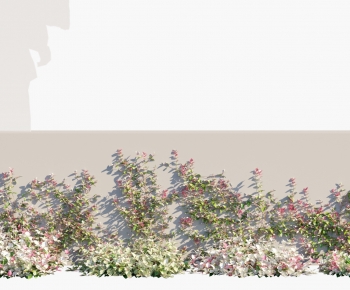 Modern Vine-ID:277848962
