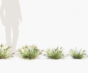 Modern The Grass-ID:505373004