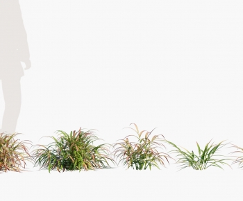 Modern The Grass-ID:652020937