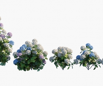 Modern Shrubbery-ID:332343105